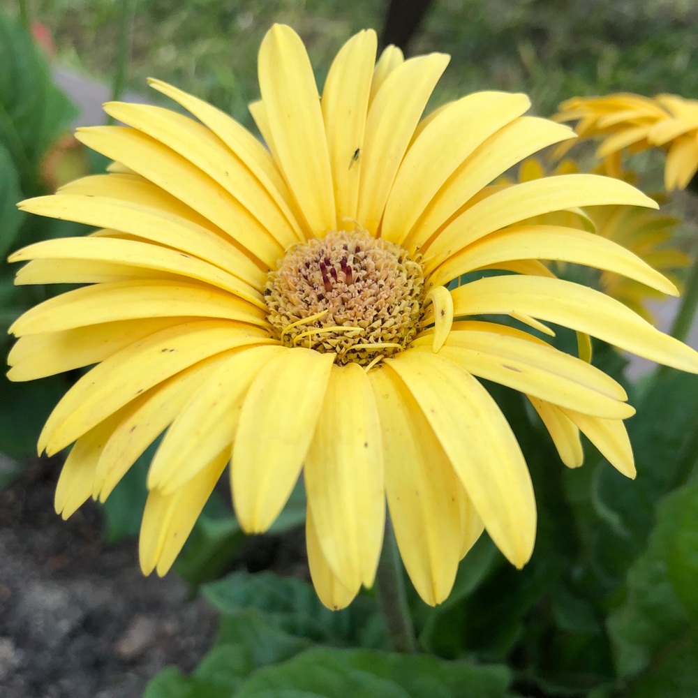 Meet your Posher, Moriah